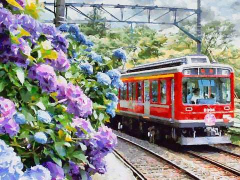 Red Train with Hydrangea Black Ornate Wood Framed Art Print with Double Matting by Medeiros, Celito