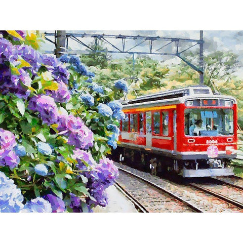 Red Train with Hydrangea Black Modern Wood Framed Art Print by Medeiros, Celito