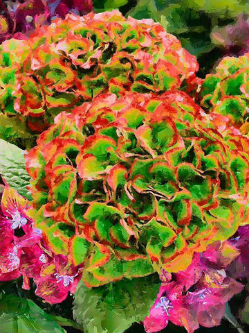 Red - Green Flower Black Ornate Wood Framed Art Print with Double Matting by Medeiros, Celito