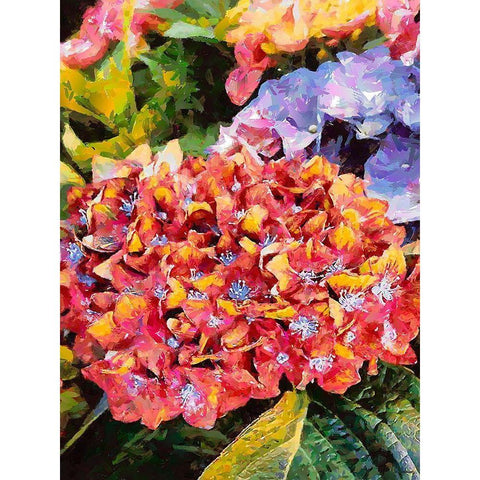 Red - Yellow Flower Black Modern Wood Framed Art Print with Double Matting by Medeiros, Celito