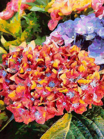 Red - Yellow Flower Black Ornate Wood Framed Art Print with Double Matting by Medeiros, Celito