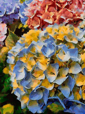 Purple - Yellow Flower Black Ornate Wood Framed Art Print with Double Matting by Medeiros, Celito