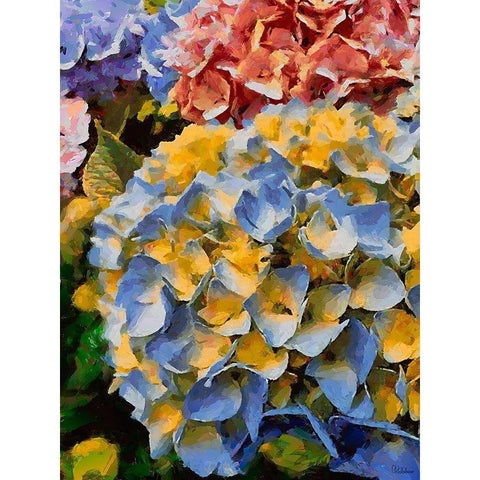 Purple - Yellow Flower Black Modern Wood Framed Art Print with Double Matting by Medeiros, Celito