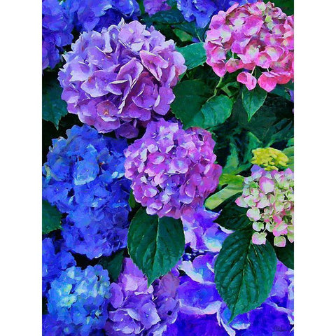 Purple Hydrangea White Modern Wood Framed Art Print by Medeiros, Celito