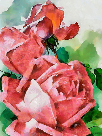 Red Roses I Black Ornate Wood Framed Art Print with Double Matting by Medeiros, Celito