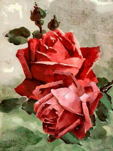 Red Roses II Black Ornate Wood Framed Art Print with Double Matting by Medeiros, Celito
