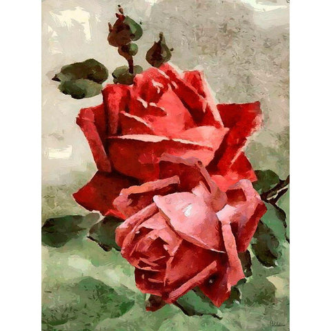 Red Roses II Black Modern Wood Framed Art Print by Medeiros, Celito