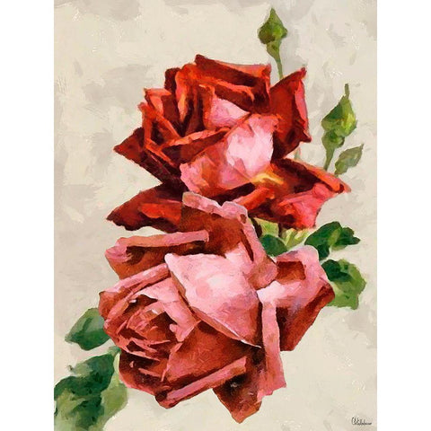 Red Roses III Black Modern Wood Framed Art Print with Double Matting by Medeiros, Celito