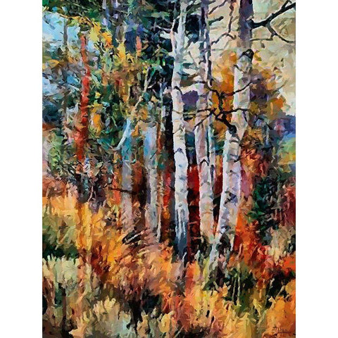 Birches Wood I Black Modern Wood Framed Art Print by Medeiros, Celito