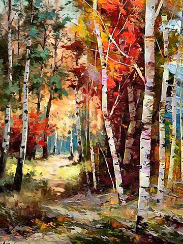 Birches Wood II White Modern Wood Framed Art Print with Double Matting by Medeiros, Celito