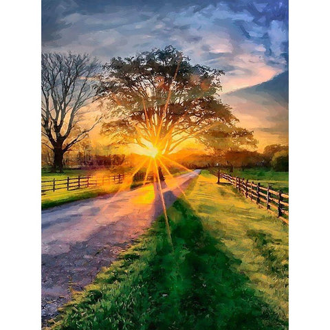 Sunset behind the Tree II Black Modern Wood Framed Art Print by Medeiros, Celito