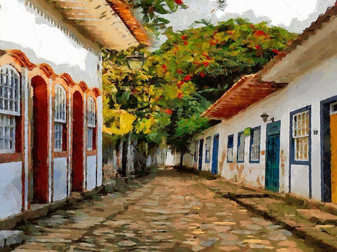 A Town in Brazil II Black Ornate Wood Framed Art Print with Double Matting by Medeiros, Celito