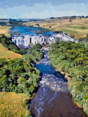 Wattefall on the River Black Ornate Wood Framed Art Print with Double Matting by Medeiros, Celito