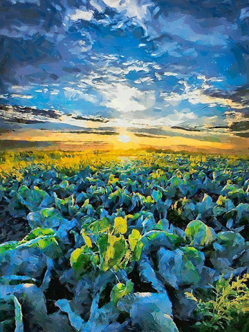 Sunset over the Meadow Black Ornate Wood Framed Art Print with Double Matting by Medeiros, Celito