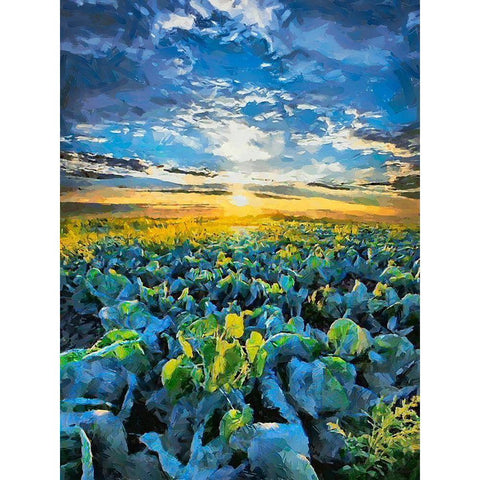 Sunset over the Meadow Black Modern Wood Framed Art Print with Double Matting by Medeiros, Celito