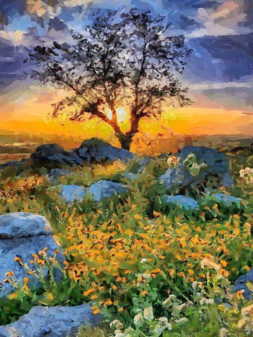 Sunset behind the Tree White Modern Wood Framed Art Print with Double Matting by Medeiros, Celito