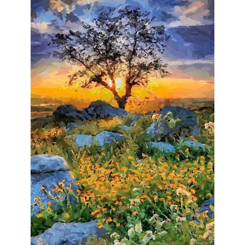 Sunset behind the Tree Black Modern Wood Framed Art Print by Medeiros, Celito