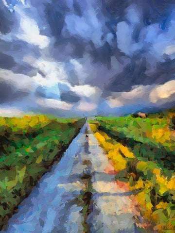 The Road with Clouds Black Ornate Wood Framed Art Print with Double Matting by Medeiros, Celito