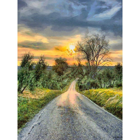 Sunset Road II Black Modern Wood Framed Art Print by Medeiros, Celito