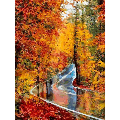 Autumn Road after Rain Black Modern Wood Framed Art Print with Double Matting by Medeiros, Celito