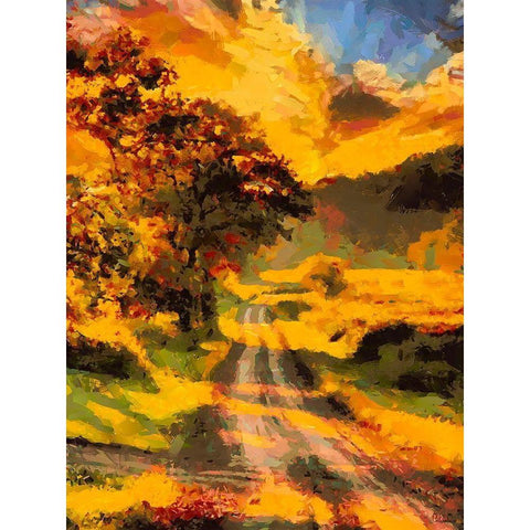 Golden Sunset Black Modern Wood Framed Art Print by Medeiros, Celito