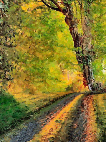 Old Tree by the Road White Modern Wood Framed Art Print with Double Matting by Medeiros, Celito