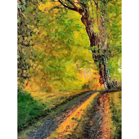 Old Tree by the Road Black Modern Wood Framed Art Print with Double Matting by Medeiros, Celito