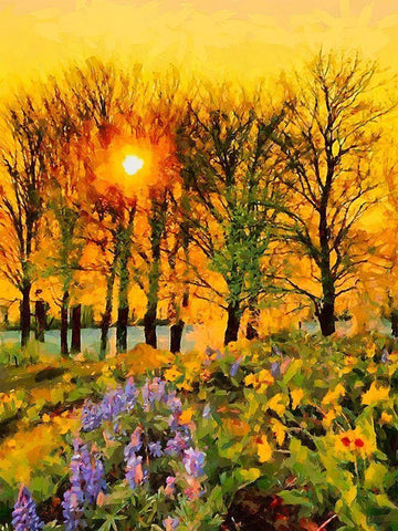 Sunset behind the Trees Black Ornate Wood Framed Art Print with Double Matting by Medeiros, Celito