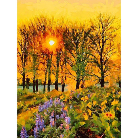 Sunset behind the Trees Black Modern Wood Framed Art Print by Medeiros, Celito