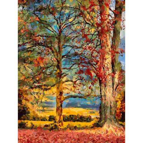 Oak in autumn Black Modern Wood Framed Art Print with Double Matting by Medeiros, Celito