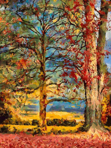 Oak in autumn White Modern Wood Framed Art Print with Double Matting by Medeiros, Celito