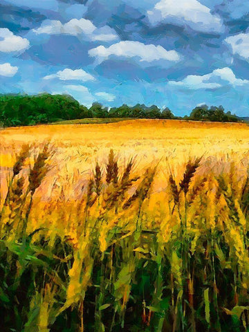 Wheat Fields Black Ornate Wood Framed Art Print with Double Matting by Medeiros, Celito