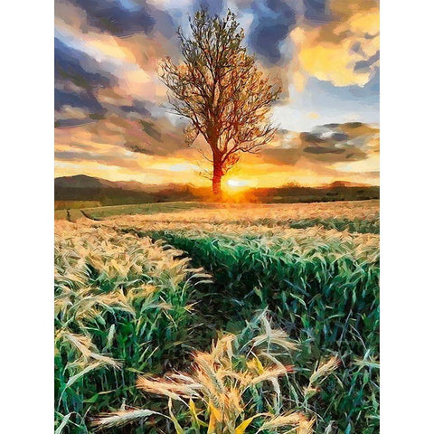 Sunset behind the Tree Black Modern Wood Framed Art Print by Medeiros, Celito