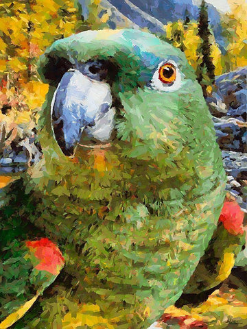 Green Parrot Black Ornate Wood Framed Art Print with Double Matting by Medeiros, Celito