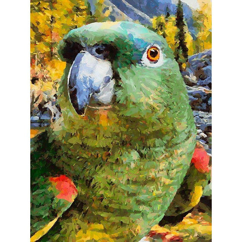 Green Parrot Black Modern Wood Framed Art Print with Double Matting by Medeiros, Celito