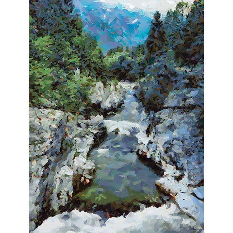 Stream in the Mountains IV Black Modern Wood Framed Art Print with Double Matting by Medeiros, Celito
