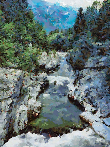 Stream in the Mountains IV Black Ornate Wood Framed Art Print with Double Matting by Medeiros, Celito