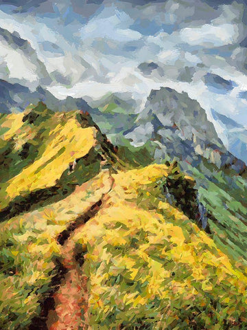 Path in the Mountains Black Ornate Wood Framed Art Print with Double Matting by Medeiros, Celito
