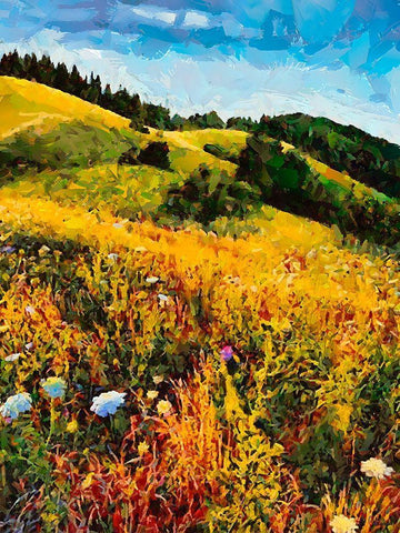 Mountains Meadow I White Modern Wood Framed Art Print with Double Matting by Medeiros, Celito
