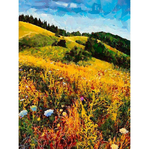 Mountains Meadow I Black Modern Wood Framed Art Print by Medeiros, Celito