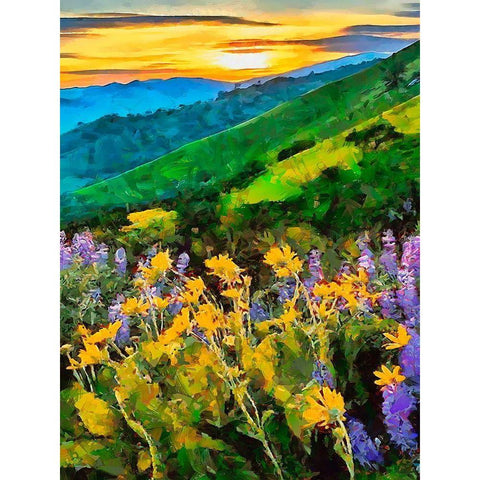 Mountains Meadow II Black Modern Wood Framed Art Print by Medeiros, Celito