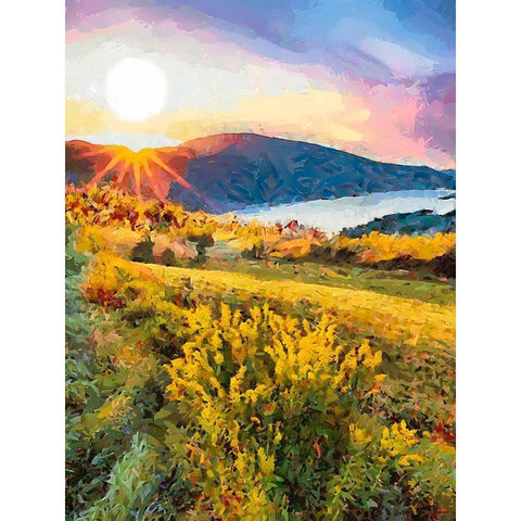 Mountains Meadow VIII Black Modern Wood Framed Art Print by Medeiros, Celito