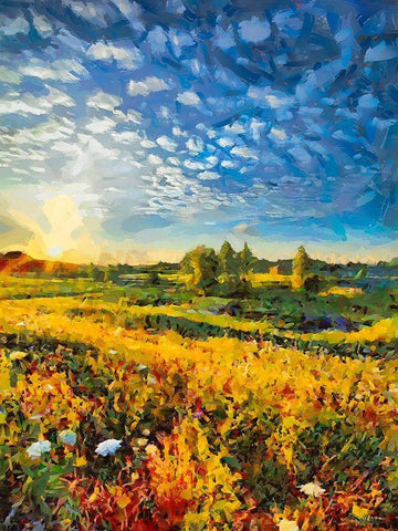 Mountains Meadow IX Black Ornate Wood Framed Art Print with Double Matting by Medeiros, Celito