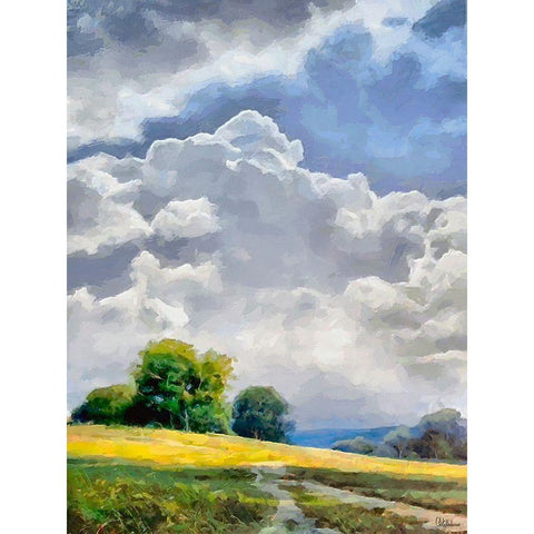 White Clouds III Gold Ornate Wood Framed Art Print with Double Matting by Medeiros, Celito