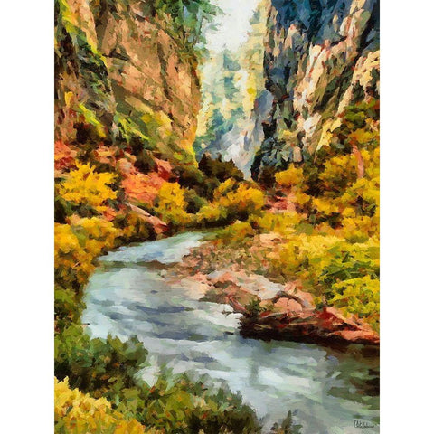 River between Rocks Black Modern Wood Framed Art Print by Medeiros, Celito