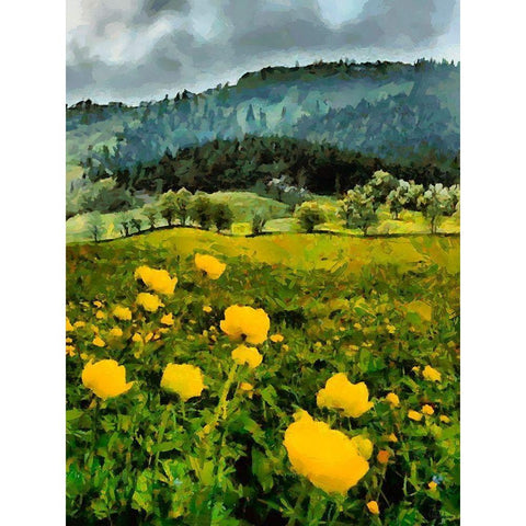 Mountain Valley II White Modern Wood Framed Art Print by Medeiros, Celito