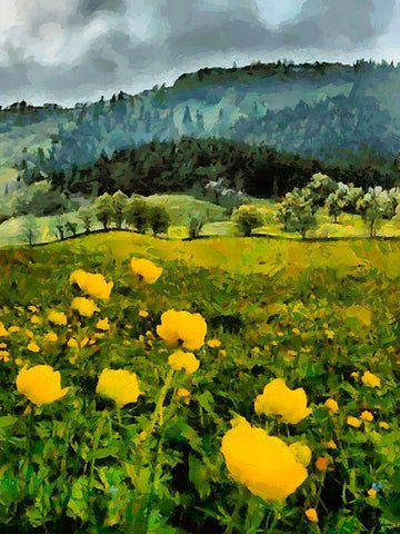 Mountain Valley II White Modern Wood Framed Art Print with Double Matting by Medeiros, Celito