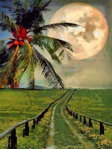 Full Moon with Palm Tree Black Ornate Wood Framed Art Print with Double Matting by Medeiros, Celito