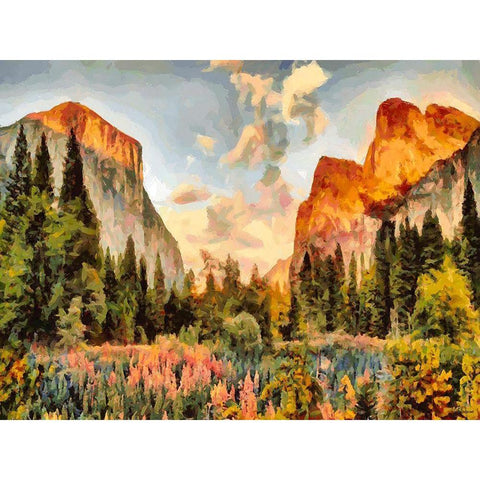 Yosemite NP5 White Modern Wood Framed Art Print by Medeiros, Celito