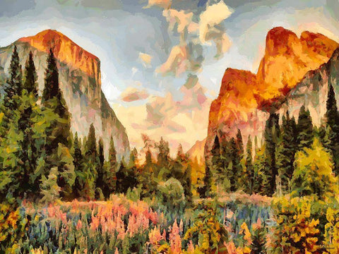 Yosemite NP5 Black Ornate Wood Framed Art Print with Double Matting by Medeiros, Celito